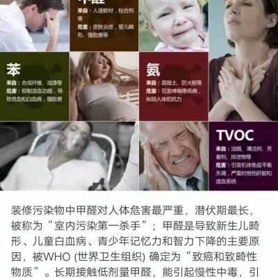 除甲醛案例