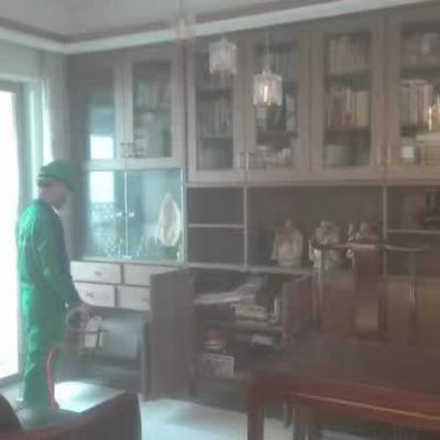 除甲醛案例
