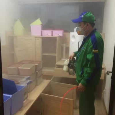 除甲醛案例